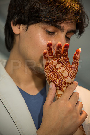 Tincy Henna-209
