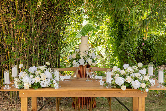 193-Vieques Weddings and Events
