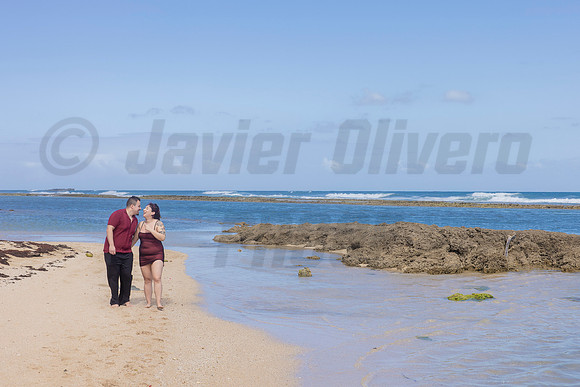 296-Paulina & Brian Proposal