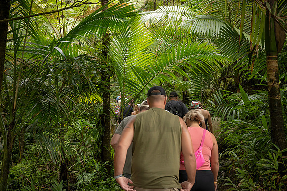 001-Day 2 - Mount Britton + Junglequi-