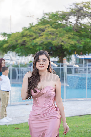 338-Erica Luis Wedding