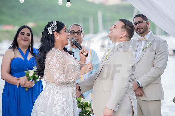 394-Erica Luis Wedding