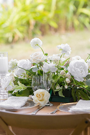 186-Vieques Weddings and Events