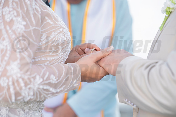 409-Erica Luis Wedding