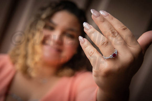 246-Daniel Proposal