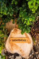 013-Hacienda Moraika