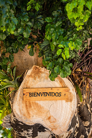 013-Hacienda Moraika