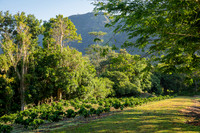 009-Hacienda Moraika