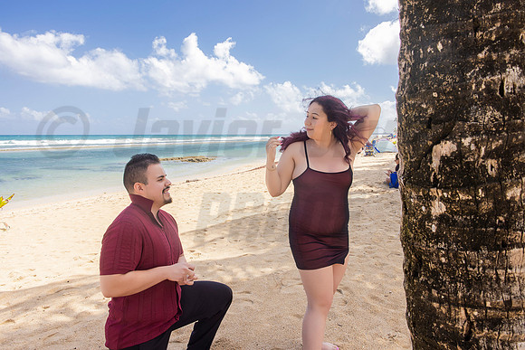 167-Paulina & Brian Proposal