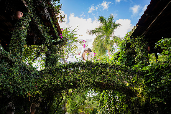 316-Daniel + Daniella Wedding