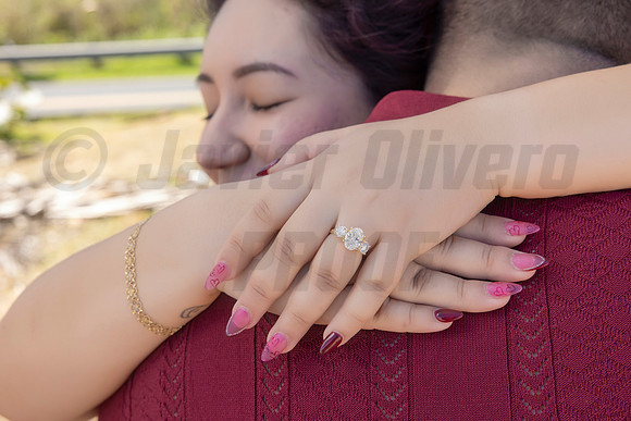 247-Paulina & Brian Proposal