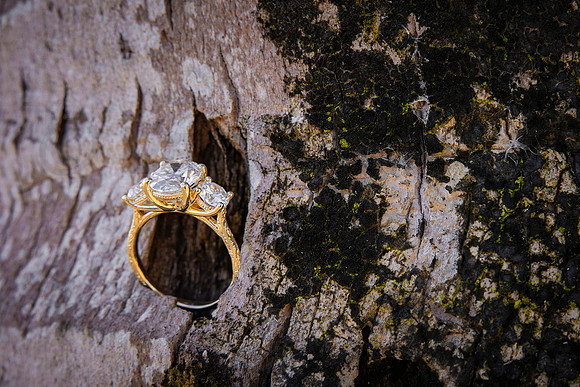 346-Paulina & Brian Proposal