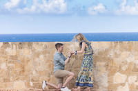 018-Bradley Proposal