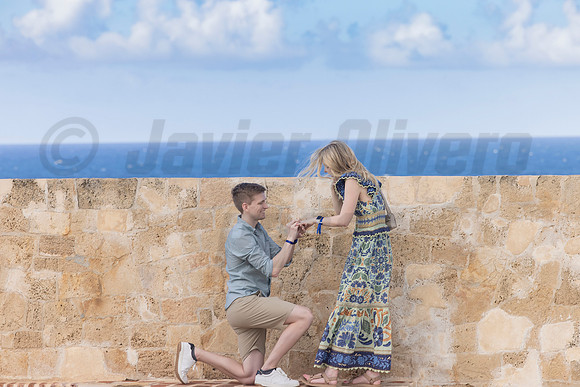 018-Bradley Proposal