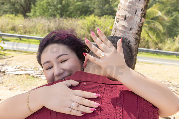 251-Paulina & Brian Proposal