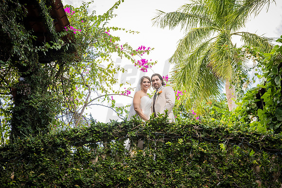 319-Daniel + Daniella Wedding