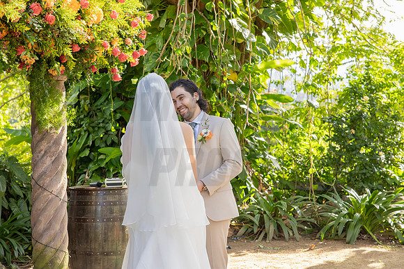 446-Daniel + Daniella Wedding