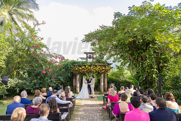 426-Daniel + Daniella Wedding