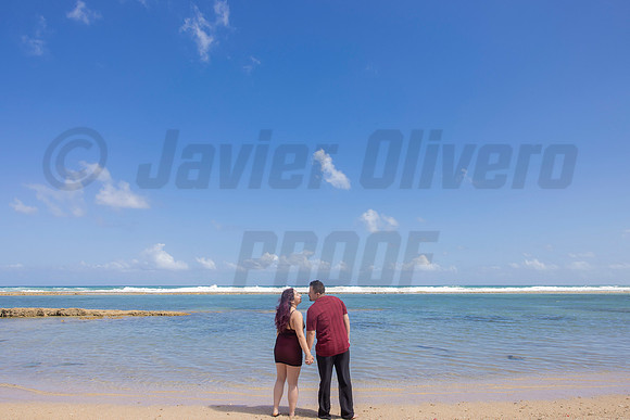329-Paulina & Brian Proposal