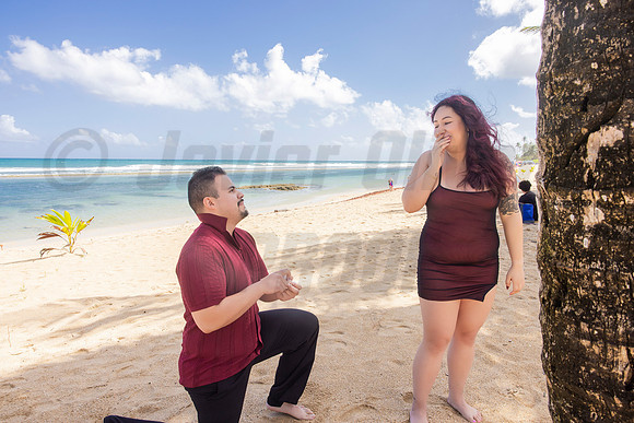 177-Paulina & Brian Proposal