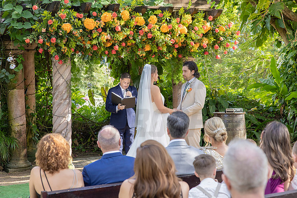 440-Daniel + Daniella Wedding