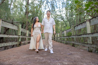 012-Christian Proposal