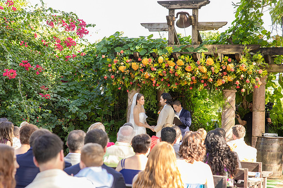 410-Daniel + Daniella Wedding
