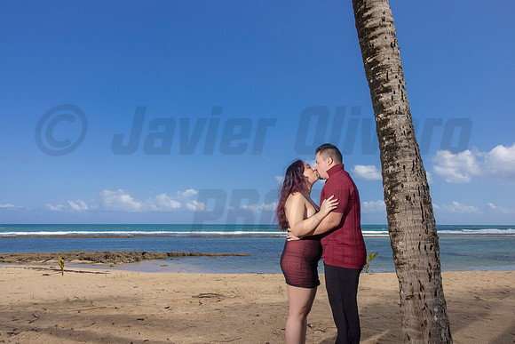 156-Paulina & Brian Proposal