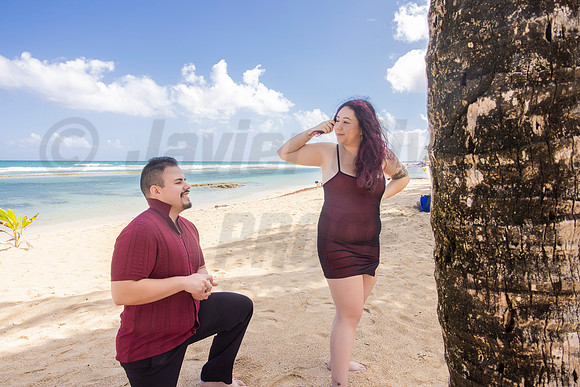 169-Paulina & Brian Proposal