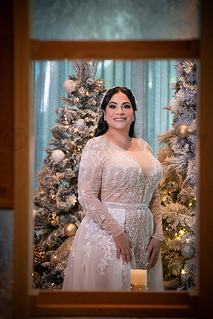 274-Erica Luis Wedding