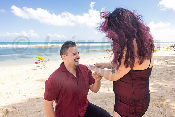 233-Paulina & Brian Proposal