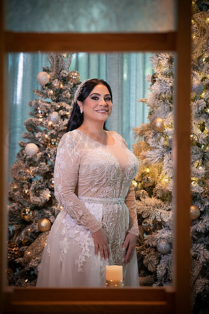 272-Erica Luis Wedding