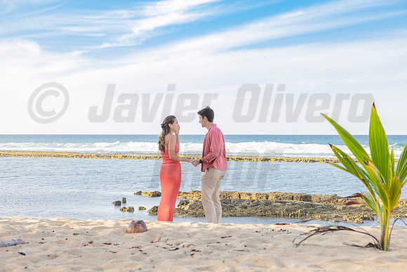 008-Travis proposal