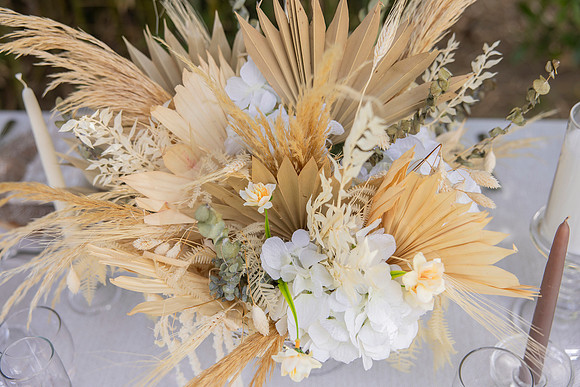026-Vieques Weddings and Events