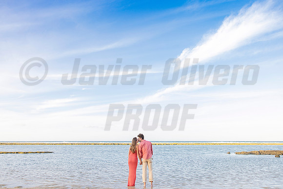 160-Travis proposal