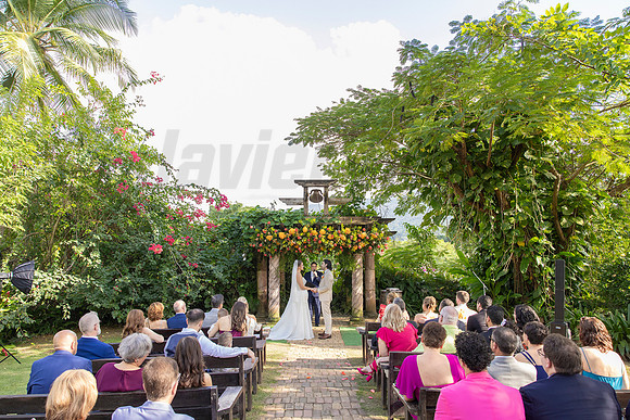 427-Daniel + Daniella Wedding