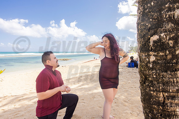 172-Paulina & Brian Proposal