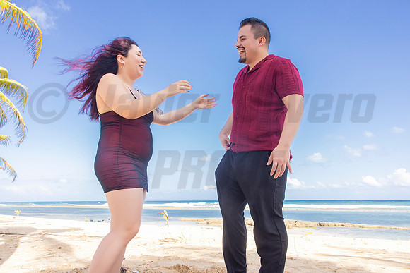 256-Paulina & Brian Proposal