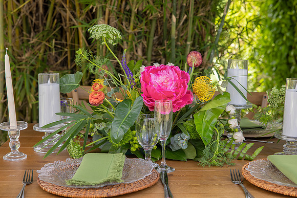 116-Vieques Weddings and Events
