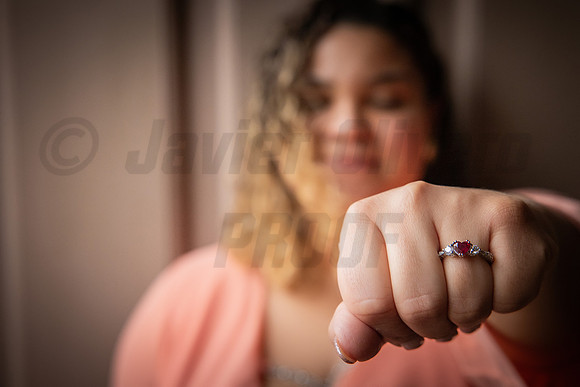 248-Daniel Proposal