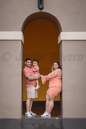 153-Daniel Proposal