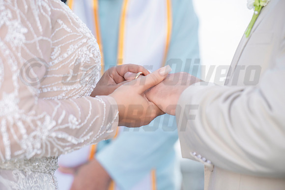 408-Erica Luis Wedding