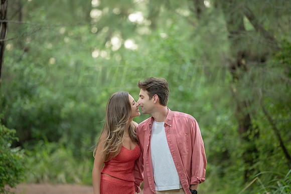 223-Travis proposal