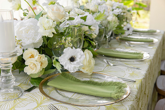 160-Vieques Weddings and Events