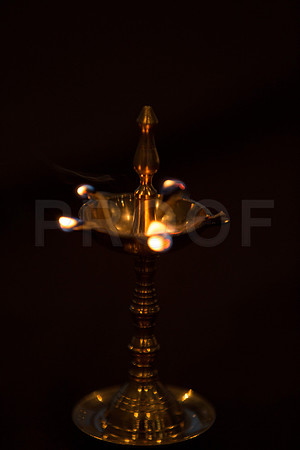 Tincy Henna-349
