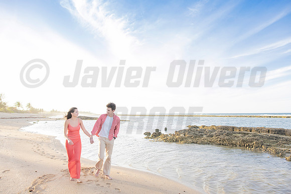 082-Travis proposal