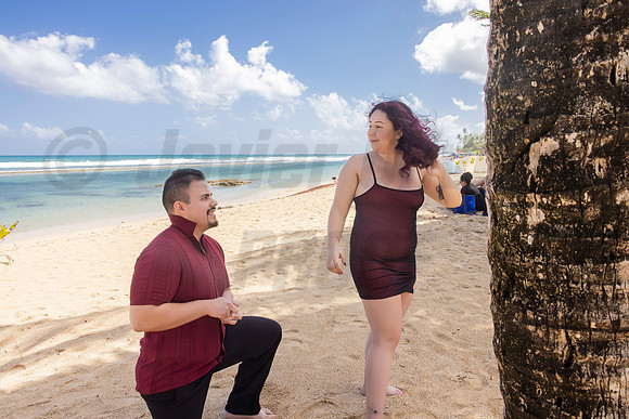 168-Paulina & Brian Proposal