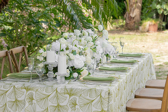 147-Vieques Weddings and Events