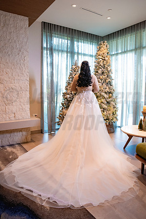 258-Erica Luis Wedding