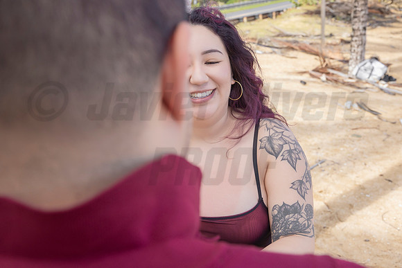 273-Paulina & Brian Proposal